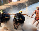 PETA finds fault with Kambala organizers